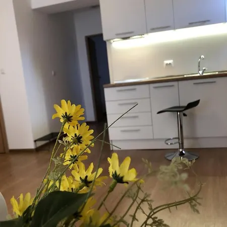 Elly 2* بوموري